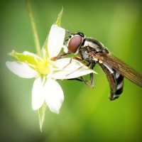 /album/blog-del-amor/photolia-a02-jpg/
