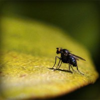 /album/blog-del-amor/photolia-a07-jpg/